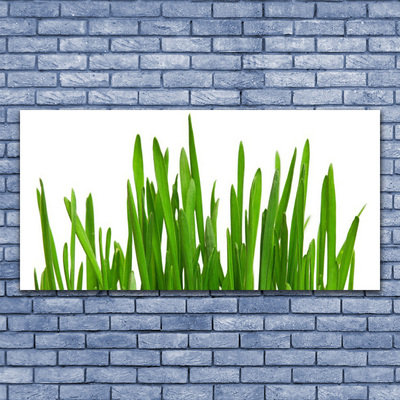 Vászonfotó Grass A Wall