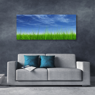 Canvas kép Sky Grass Nature Plant