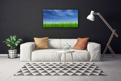 Canvas kép Sky Grass Nature Plant