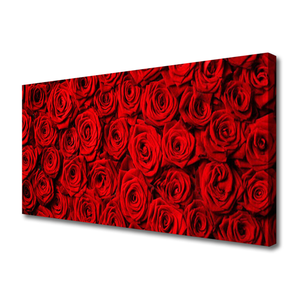 Vászonfotó Roses A Wall