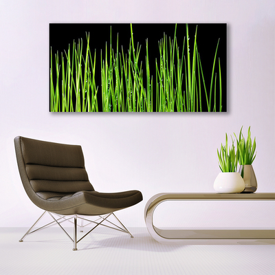 Canvas kép fű növény