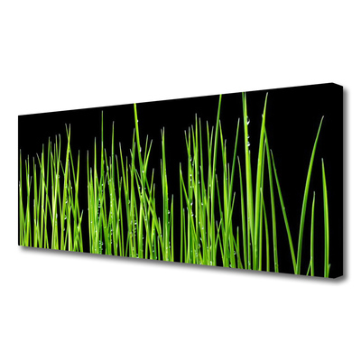 Canvas kép fű növény