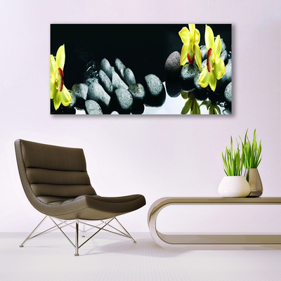 Canvas kép orchidea virág