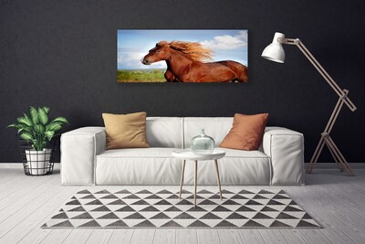 Vászonkép ló Állatok