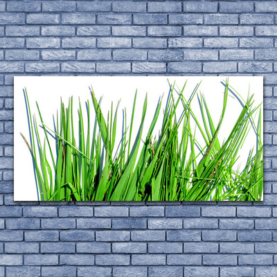 Vászonkép Grass A Wall