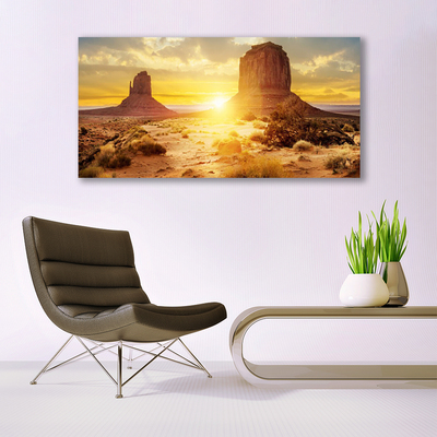 Vászonkép Desert Sun Landscape