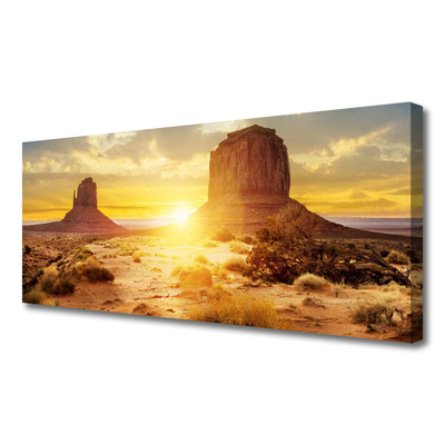 Vászonkép Desert Sun Landscape