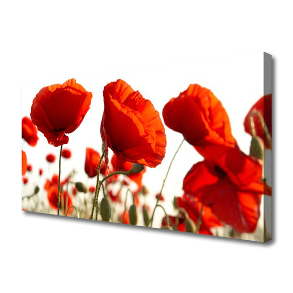 Vászonkép falra tulipán virágok