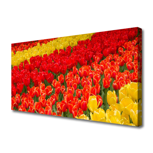 Vászonfotó tulipán virágok
