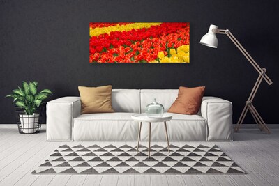 Vászonfotó tulipán virágok