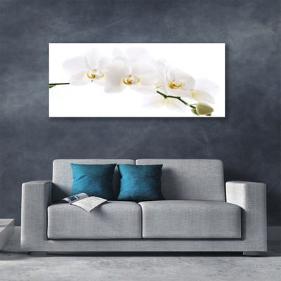 Vászonkép orchidea virágok
