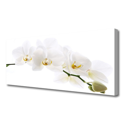 Vászonkép orchidea virágok