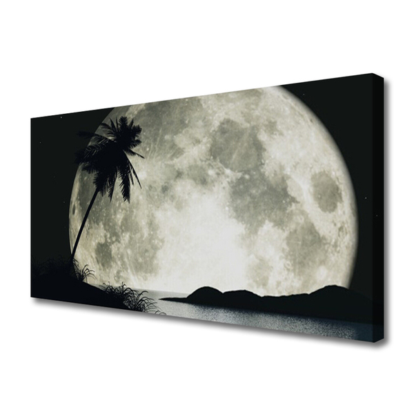 Canvas kép Éjszakai hold táj Palm