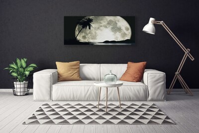 Canvas kép Éjszakai hold táj Palm