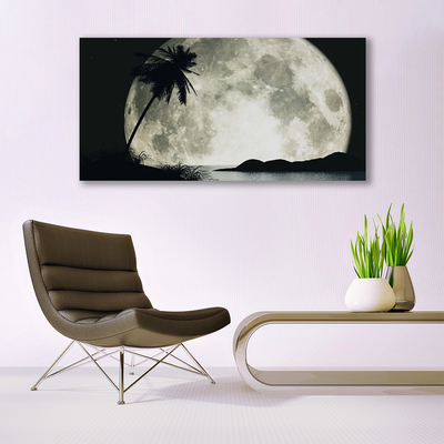 Canvas kép Éjszakai hold táj Palm