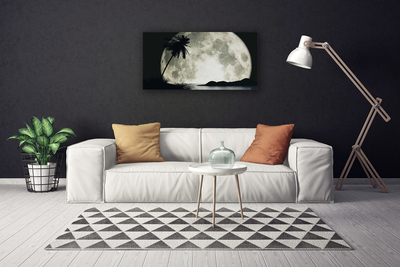 Canvas kép Éjszakai hold táj Palm