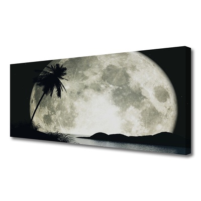 Canvas kép Éjszakai hold táj Palm