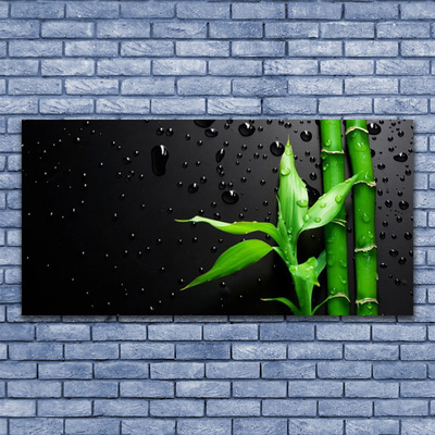 Vászonkép falra Bambusz levelek Plant