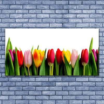 Vászonkép nyomtatás üzem tulipán