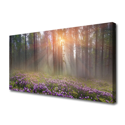 Canvas kép Forest Nature Flowers Plant