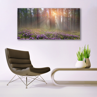 Canvas kép Forest Nature Flowers Plant