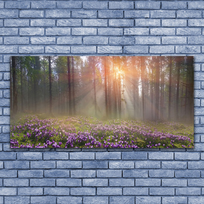 Canvas kép Forest Nature Flowers Plant