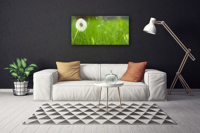 Vászonkép nyomtatás Dandelion Grass Plant
