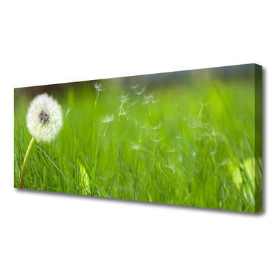 Vászonkép nyomtatás Dandelion Grass Plant
