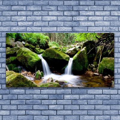 Vászonkép Waterfall Rocks Nature