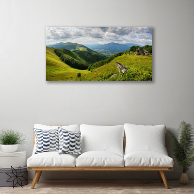 Vászonkép Mountain Meadow Landscape