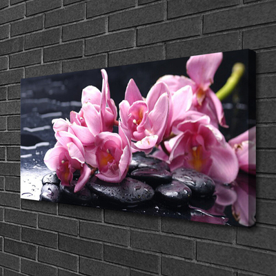 Vászonkép Virág orchidea növény