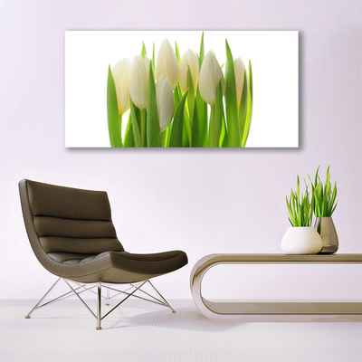 Vászonkép Plant tulipánok Természet