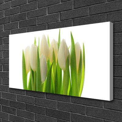 Vászonkép Plant tulipánok Természet