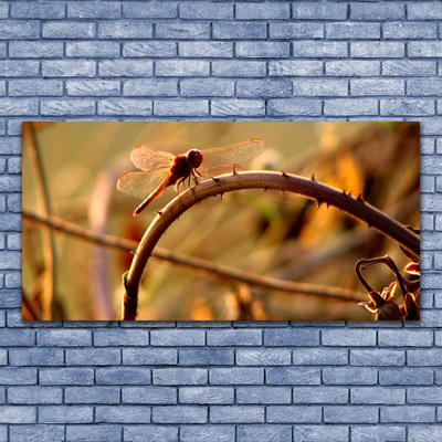 Vászonkép Dragonfly Nature Plant