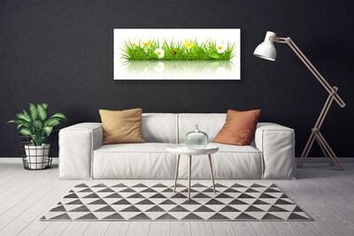 Vászonkép Grass Nature Plant