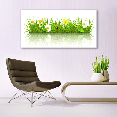 Vászonkép Grass Nature Plant