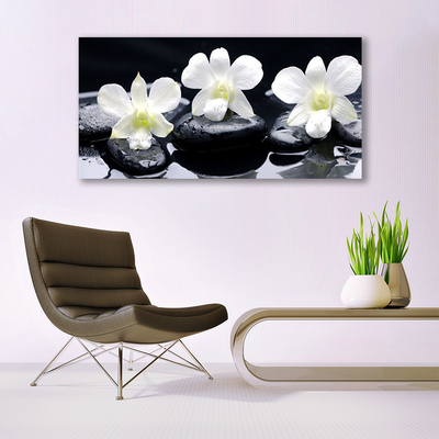Vászonkép nyomtatás Orchid Plant Stones