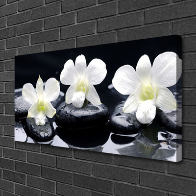 Vászonkép nyomtatás Orchid Plant Stones