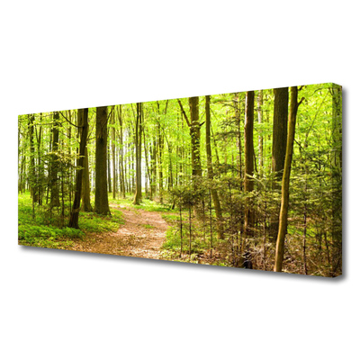 Canvas kép Forest Path Természet