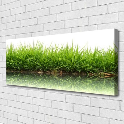 Vászonkép falra Grass Nature Water Plant