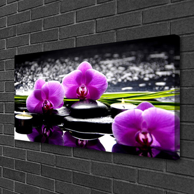 Vászonkép falra Virág orchidea növény