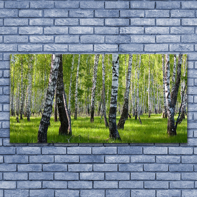 Vászonkép falra Erdei fák Természet