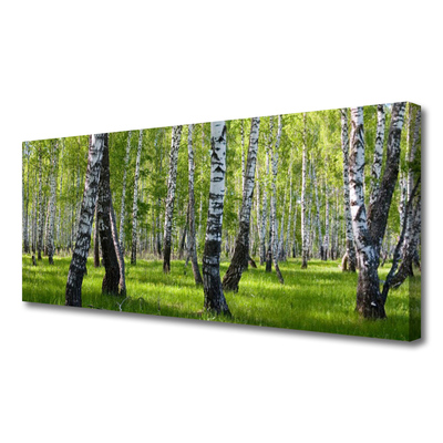 Vászonkép falra Erdei fák Természet