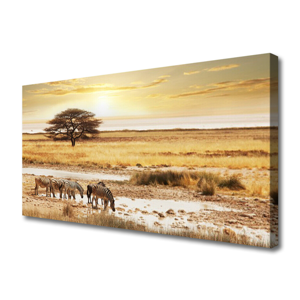 Vászonkép nyomtatás Zebra Safari Landscape