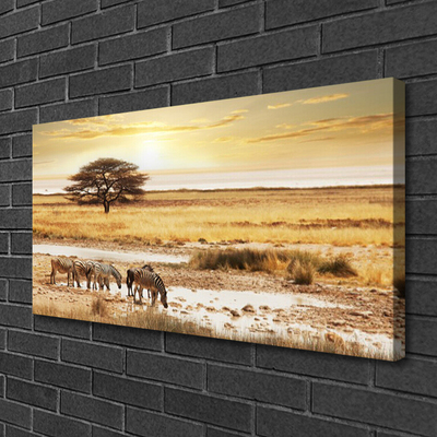 Vászonkép nyomtatás Zebra Safari Landscape