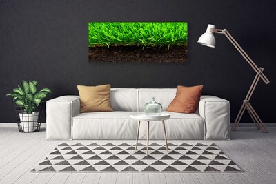 Canvas kép Grass Nature Plant