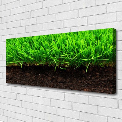 Canvas kép Grass Nature Plant