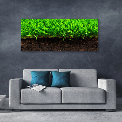 Canvas kép Grass Nature Plant