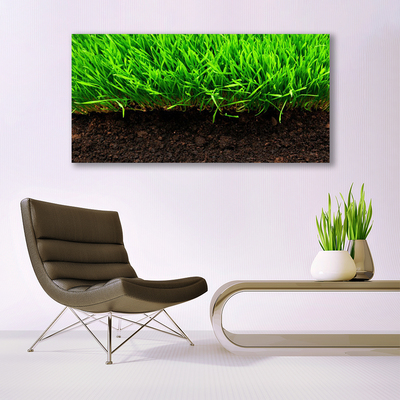 Canvas kép Grass Nature Plant