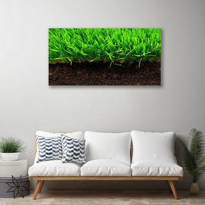 Canvas kép Grass Nature Plant